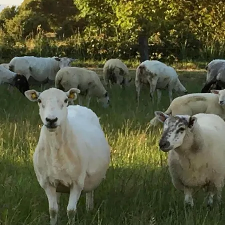 Haven Pod Easkey Kemp *