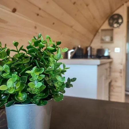 Haven Pod Easkey Campingplatz Sligo