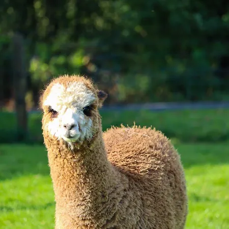 Haven Pod Easkey Kemp Sligo