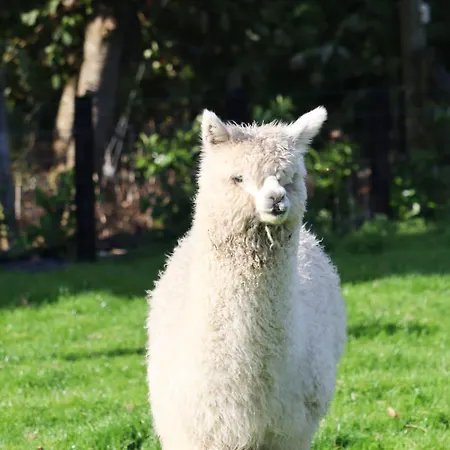 Haven Pod Easkey Sligo