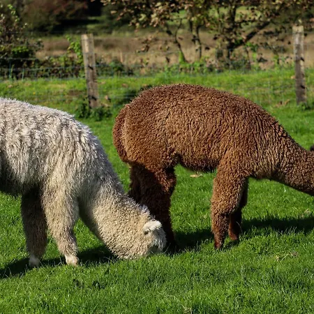 Kemp Haven Pod Easkey Sligo