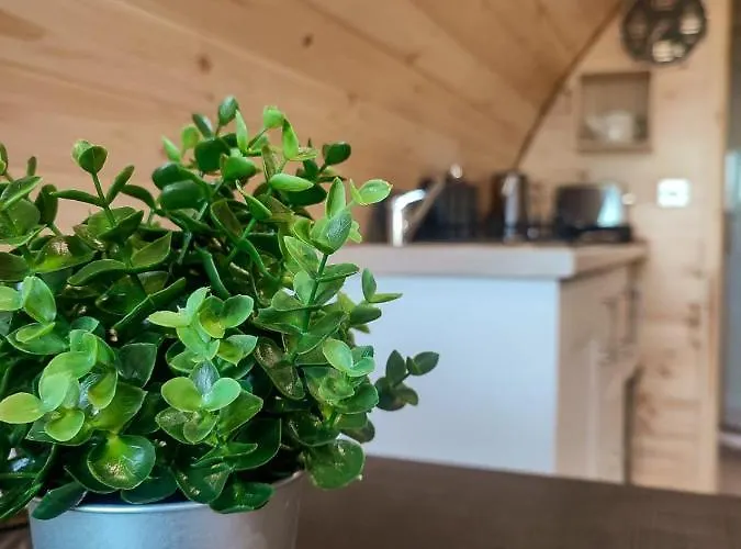 Haven Pod Easkey Campingplads Sligo