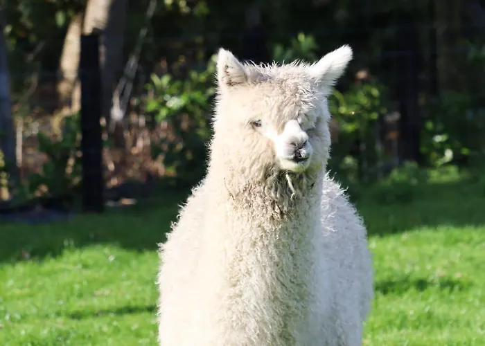 Haven Pod Easkey Sligo